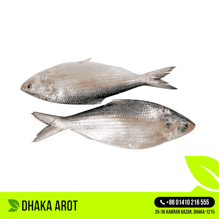Hilsa Fish - 700gm ± Size (ইলিশ মাছ - ৭০০ গ্রাম ±)