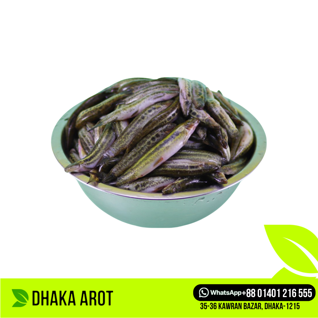 Fresh Bhutum Fish (বুতুম মাছ)