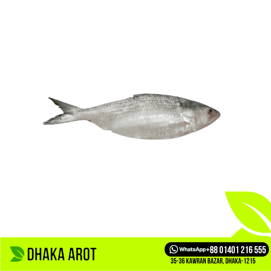 Hilsa Fish - Per Pc 500 gm ± Size (ইলিশ মাছ - ৫০০ গ্রাম ± )