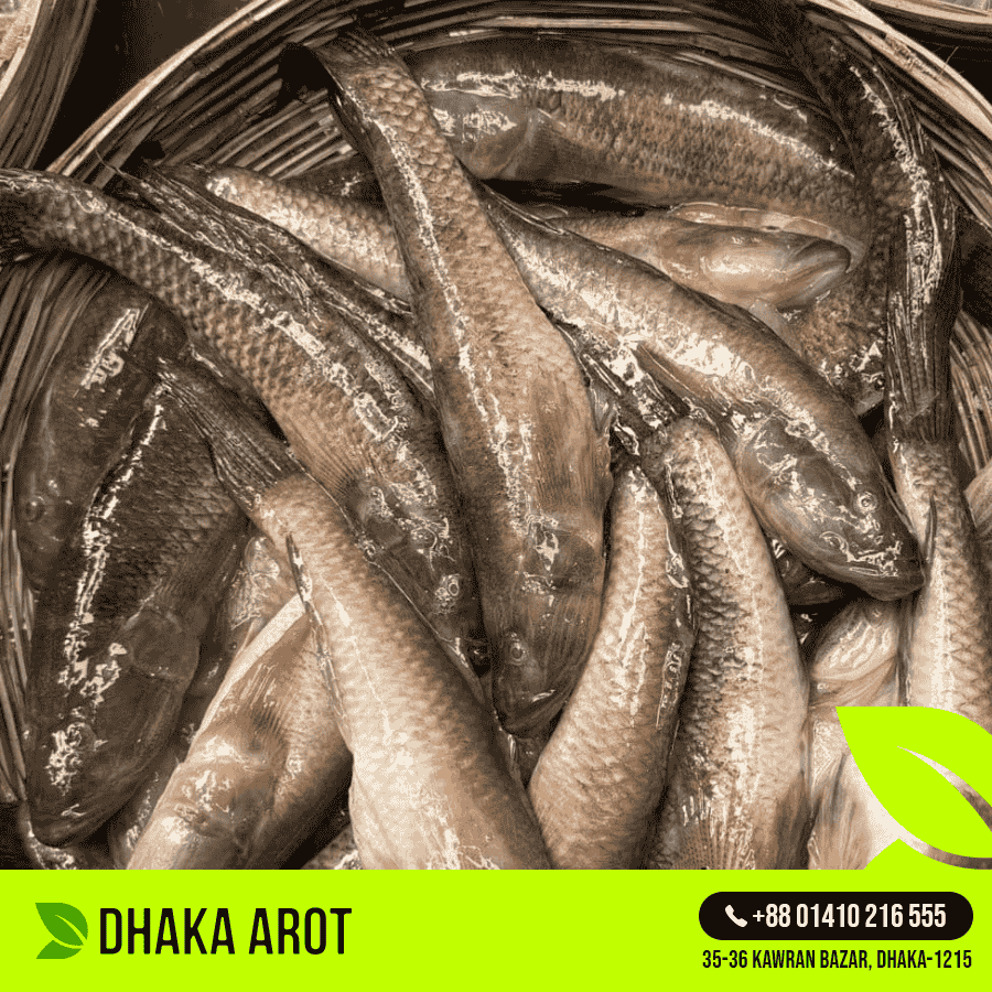 Fresh River Baila (নদীর বেলে মাছ) 4 - 5 Pc