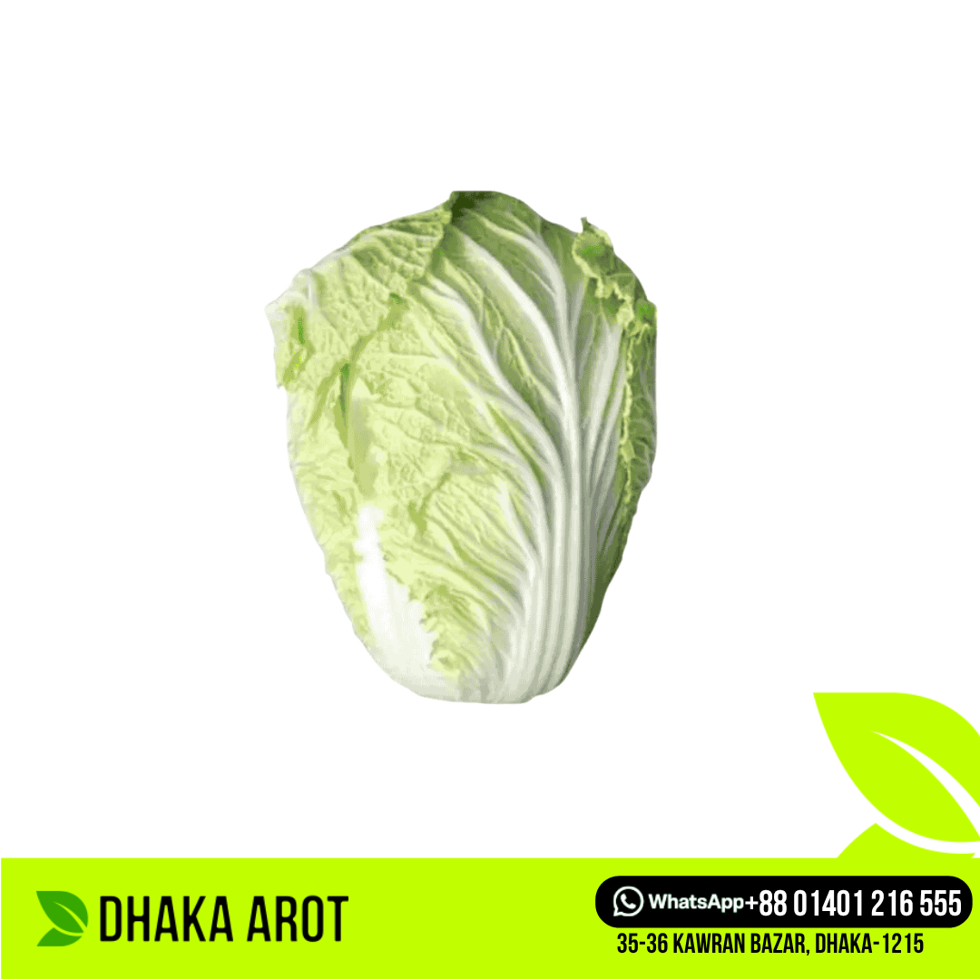 Chinese Cabbage (চীনা বাঁধাকপি)