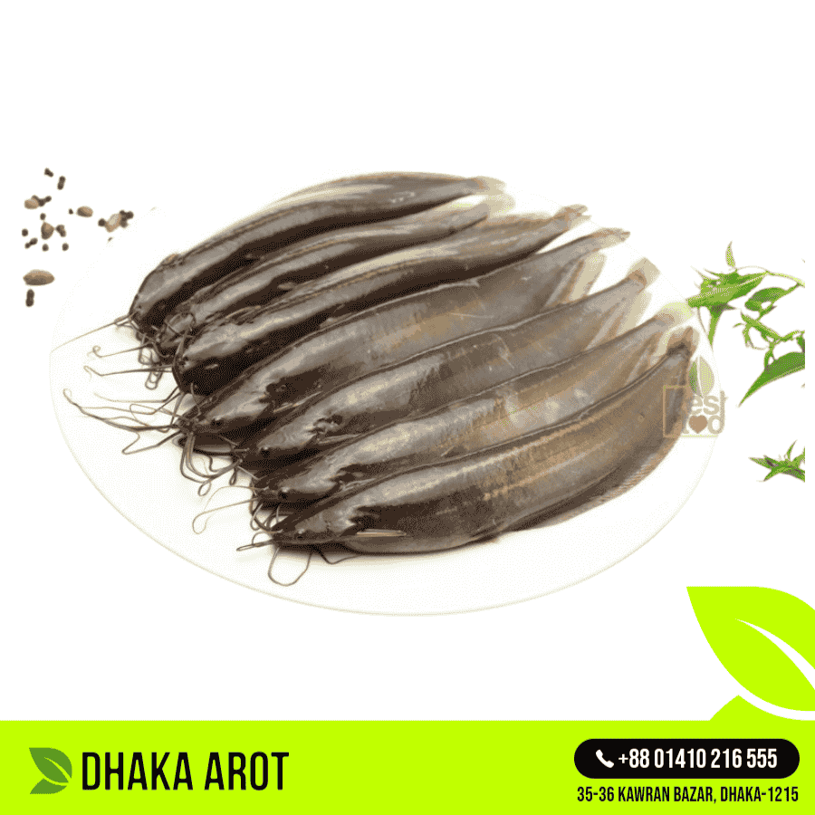 Shing Fish - Premium Deshi (শিং মাছ - প্রিমিয়াম দেশি)