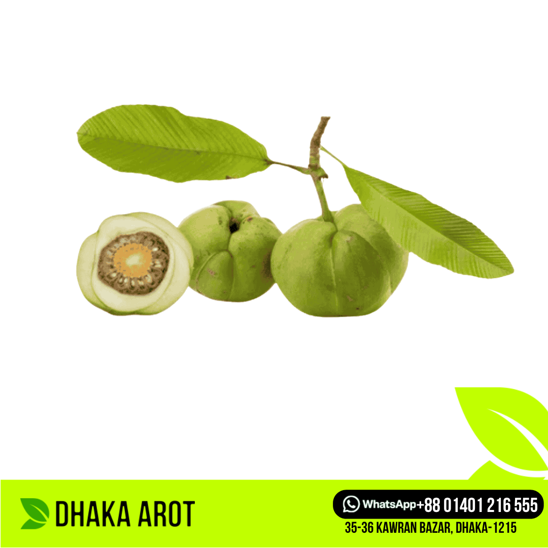 Elephant Apple Premium (চালতা প্রিমিয়াম)