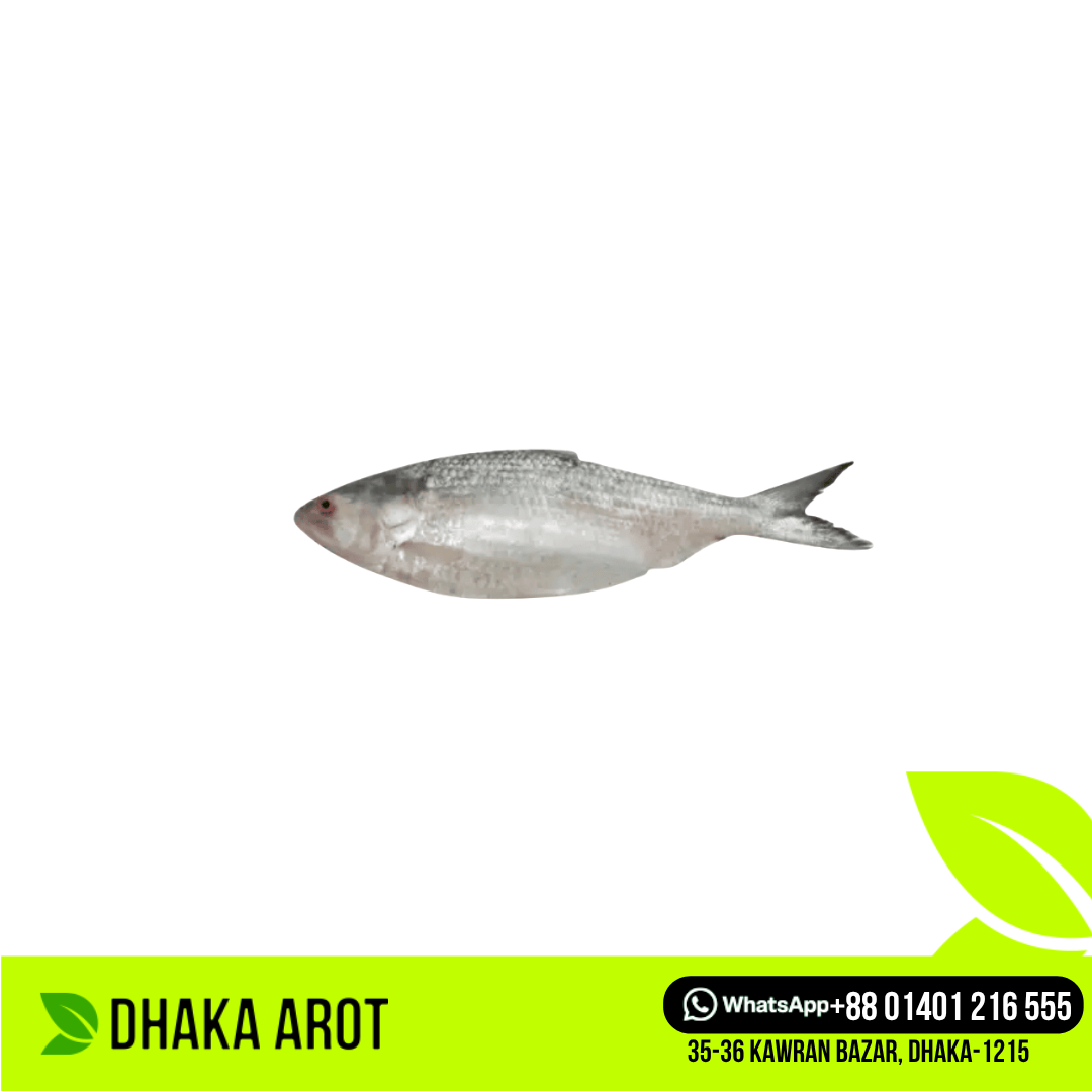 Hilsa Fish - Per Pc 300 gm ± Size (ইলিশ মাছ - ৩০০ গ্রাম ± )