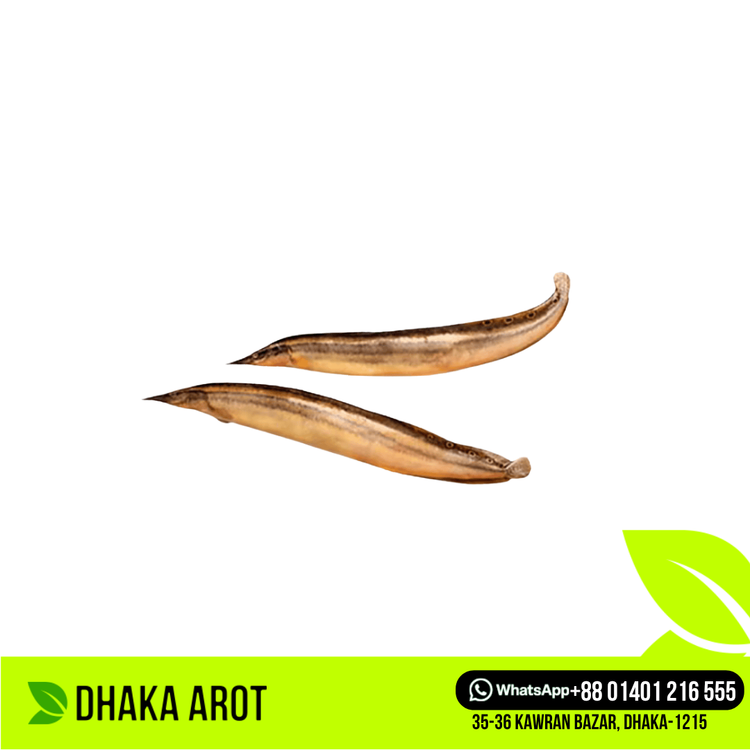 Sea Eel Premium - সাগরের বাইন মাছ প্রিমিয়াম (কেজিতে ২৫ থেকে ৩০ পিস)