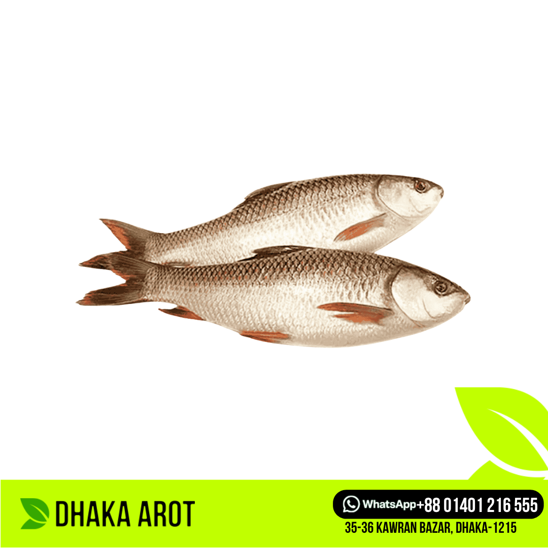 River Rui Fish -নদীর রুই মাছ (প্রতি পিস 3 থেকে 5 কেজি)