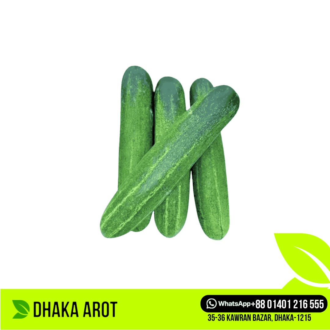 Long Cucumber (লম্বা শসা)