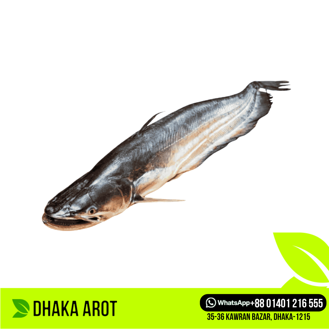Boal Fish - বোয়াল মাছ (প্রতি পিস 700 গ্রাম থেকে ১ কেজি)