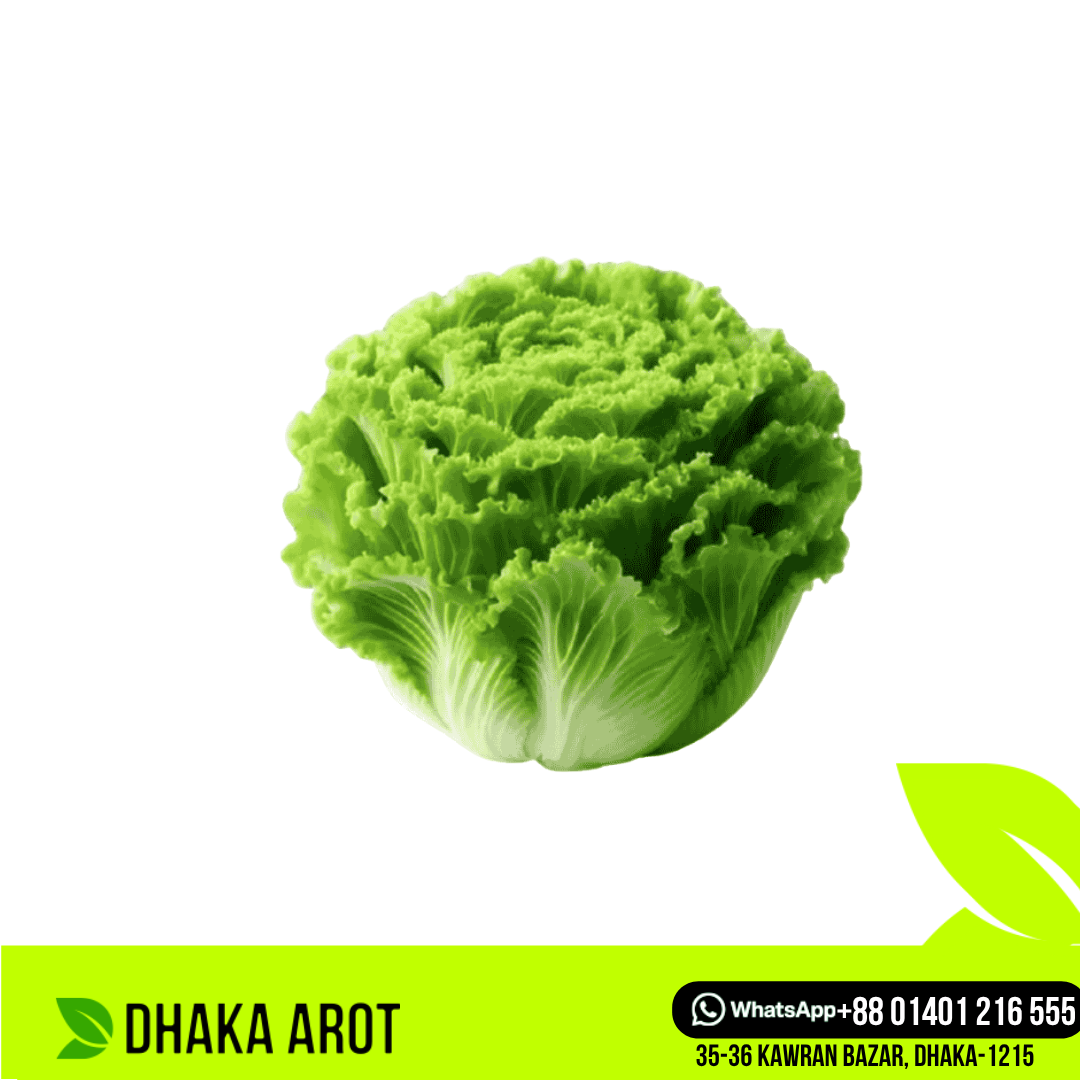 Iceberg Lettuce (আইসভার লেটুস)