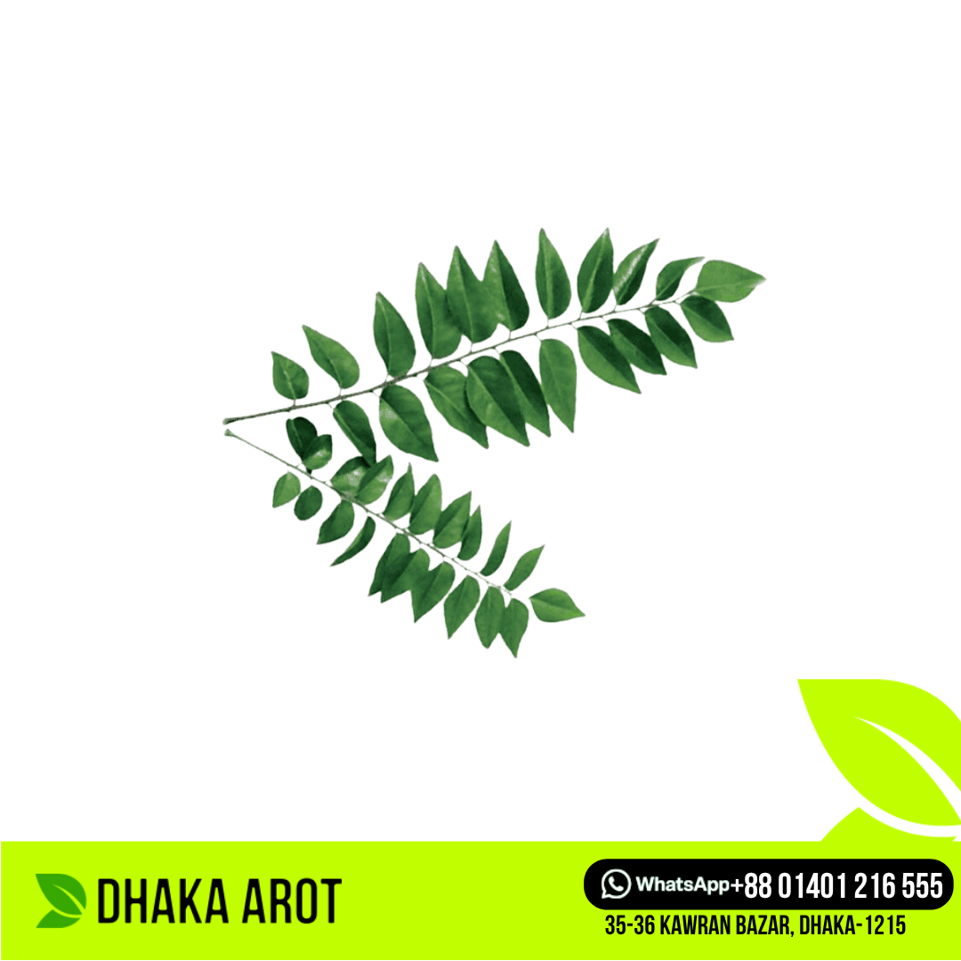 Curry Leaves (কারি পাতা)
