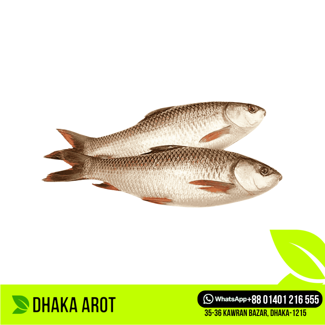 River Rui Fish -নদীর রুই মাছ (প্রতি পিস ৭  থেকে  ১০ কেজি)