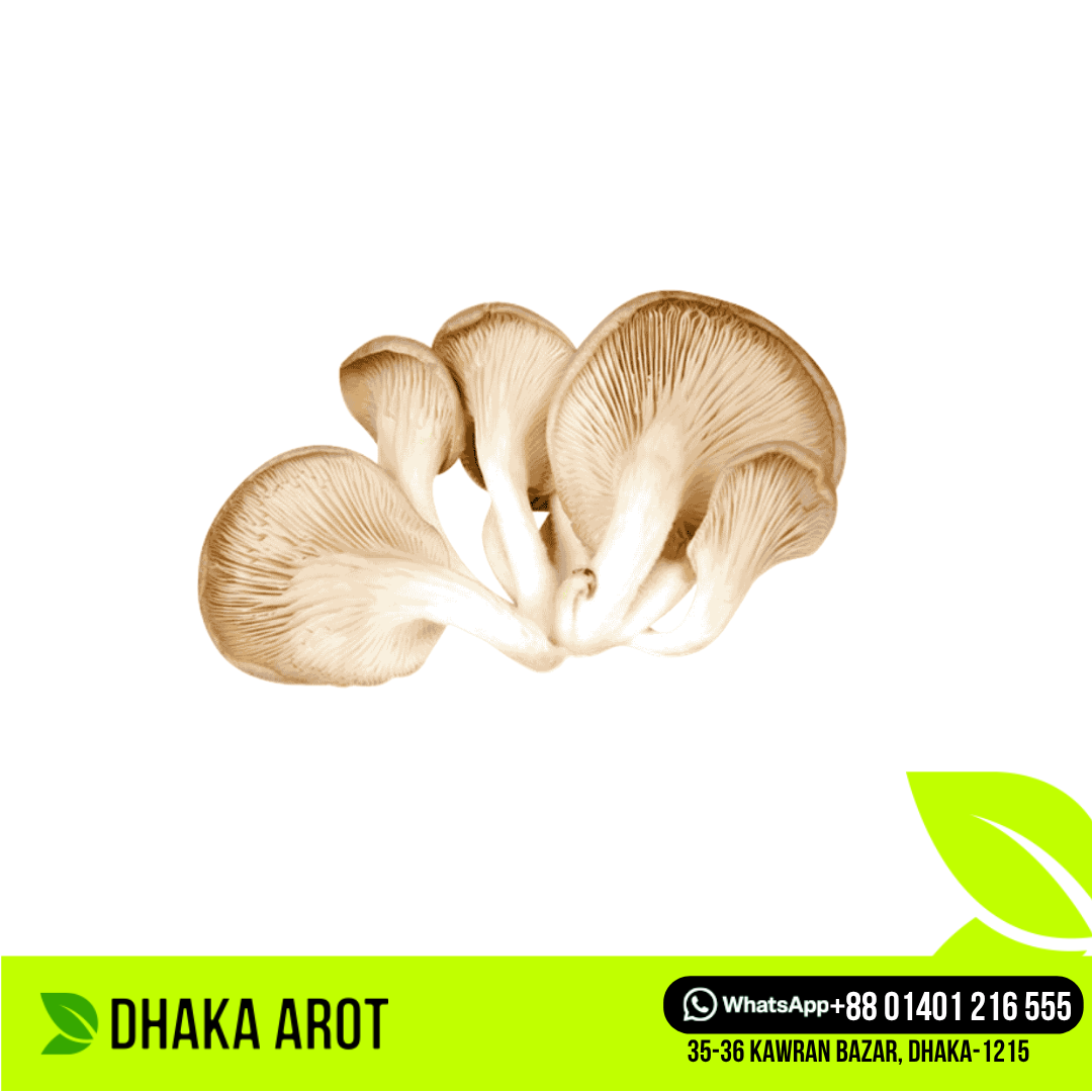 Oyster Mushroom (ওয়েস্তার মাশরুম)